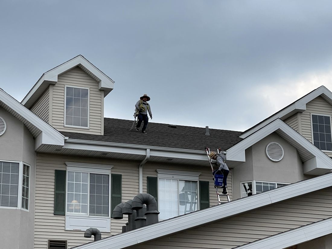 Trego Roofing crew installing new shingles during a roof replacement